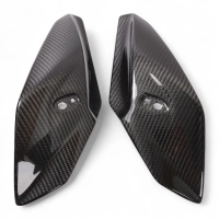 Caches latéraux de tête de fourche carbone bmw s1000r 2014