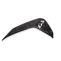 Ecopes latérales carbone bmw r1300gs 2024-