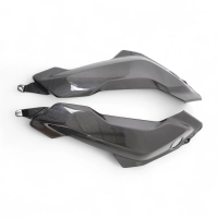 Paire de caches sur reservoir carbone bmw r1300gs 2024-