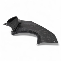 Caches canaux d'air carbone kawasaki zx14 zzr1400 2012-2020