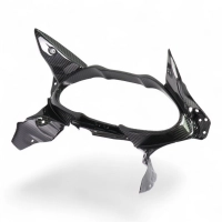 Entourage du cockpit carbone suzuki hayabusa 2021-