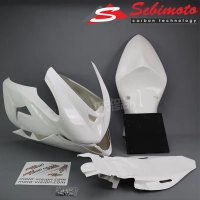 Lot poly kawwasaki zx10 2006-2007.jpg