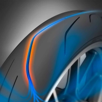 Dunlop sportsmart tt  rainures