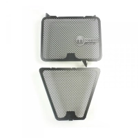 Protection de radiateur ducati street fighter