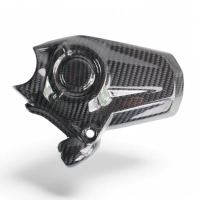 Cache moteur carbone ducati monster 937/950 stealth 2021.jpeg