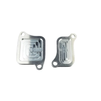 Plaque de suppression antipollution triumph daytona 675 - street triple 675 - 765 - tiger 660 - 800 - 900 - 1200