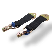 Paire d'attache pour sangles avec double goujon