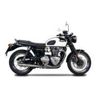 Echappement spark triumph bonneville t120 2016- modèle trumpet / inox