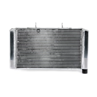 Radiateur aluminium pour honda cb 600 f hornet 1998-2006