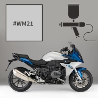 Peinture bmw light grey metallic r 1200 rs 2016-2018