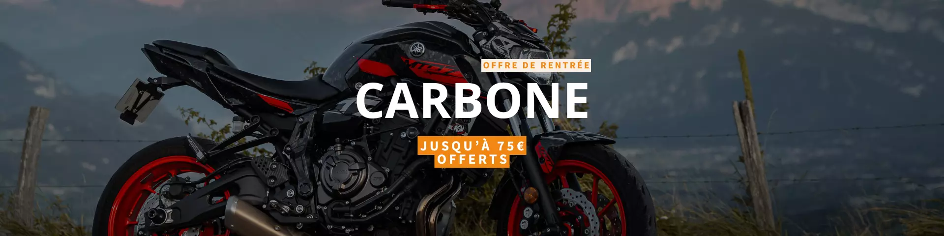carbone rentrée