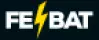 FE Bat