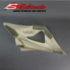 Flanc gauche poly sebimoto bw s 1000 rr partie supérieure + flanc poly sebimoto  bmw s 1000 rr 2010-2011