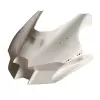Tête de fourche poly racing bikesplast kawasaki zx10r 2021-