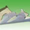 Kawasaki-zx6-r-2005-2006-fairings-bodywork-5.jpg