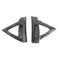 Ecopes de radiateur carbone suzuki b-king