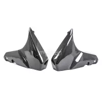 Flancs de garde boue carbone suzuki b-king