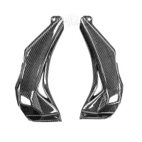 Caches dans tête de fourche carbone kawasaki zx10r 2016-2020