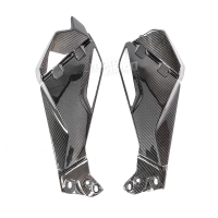 Cache sous réservoir carbone vernis bmw r1200gs r1250gs 2013-2016