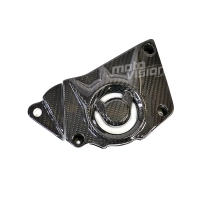 Cache pignon carbone vernis pour bmw s1000rr hp4 2015 - 2018