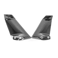 Ecopes sur tête de fourche carbone vernis pour kawasaki h2