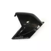 Protection de bras oscillant type origine  carbone vernis ducati panigale v4