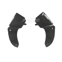 Ecopes sur tête de fourche carbone vernis pour bmw k1200s