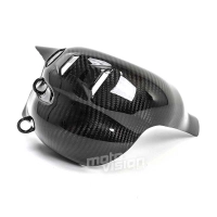 Protection de pot carbone vernis ducati panigale v4 v4s