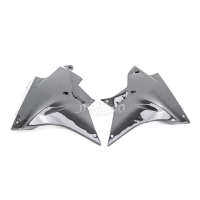 Sabot carbone bmw s1000rr 2017-2018