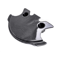 Cache sous tête de fourche carbone bmw s1000rr 2019-2021