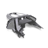 Coque carbone bmw s1000rr 2019-2021