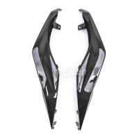 Écopes de coque carbone bmw s1000xr