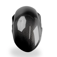 Garde boue carbone suzuki hayabusa 2021-