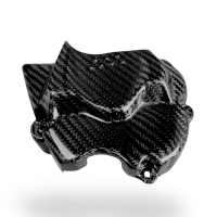 Cache pignon carbone ducati hypermotard 698 2024-