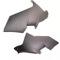 Flancs inférieurs carbone bmw m1000rr 2023-