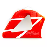 Kit de carénage en abs peint pour honda cbr929rr 2000-2001