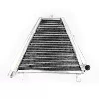 Radiateur aluminium (partie basse) pour ducati panigale 899/959/1199/1299/v2