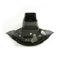 Araignée carbone kawasaki zx10 2011