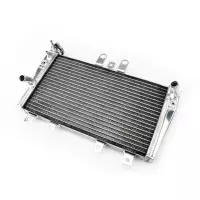 Radiateur aluminium pour triumph speed triple 1050 2005-2010
