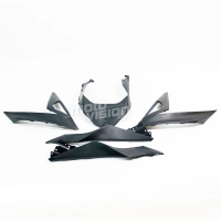Kit de carénage en abs peint pour kawasaki ninja 300 2013