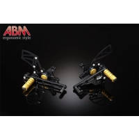 Commande reculée excentro abm