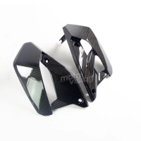 Ecopes latérales carbone pour ducati monster 797