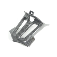 Support de plaque  carbone vernis bmw s1000xr 2015-2019