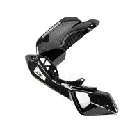 Caches sur entrée d'air carbone bmw r1200gs r1250gs 2013-2016