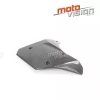 Ecopes centrales carbone vernis kawasaki ninja h2 15/17