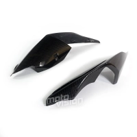 Ecope de coque carbone vernis pour bmw s1000rr 2019-2020