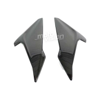 Paire de flancs carbone vernis bmw s1000r 2018-