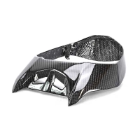 Entourage de feu carbone ducati diavel 1260/1260s 2019-2020