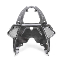 Coque carbone bmw s1000rr 2019-2021