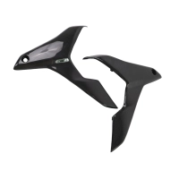 Paire de caches latéraux de flancs carbone suzuki gsr 750 2011-2016